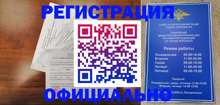 прописка поиск в Ногинске